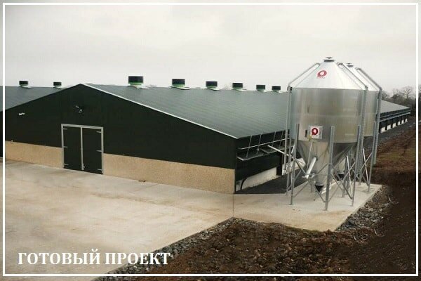 Этапы возведения птицефабрики от завода ВелесТент-сои